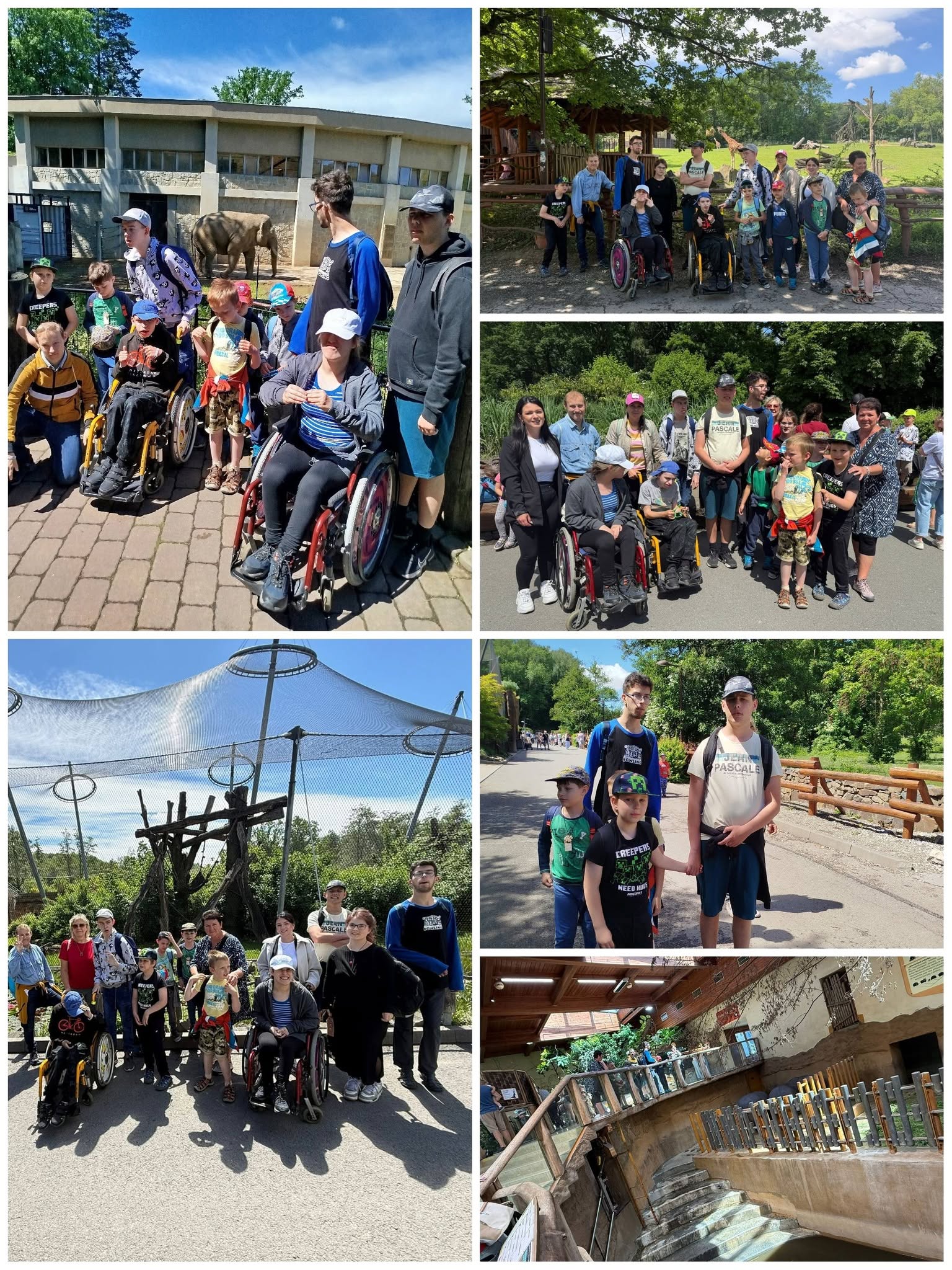 Mezigenerační expedice do Zoo Ostrava