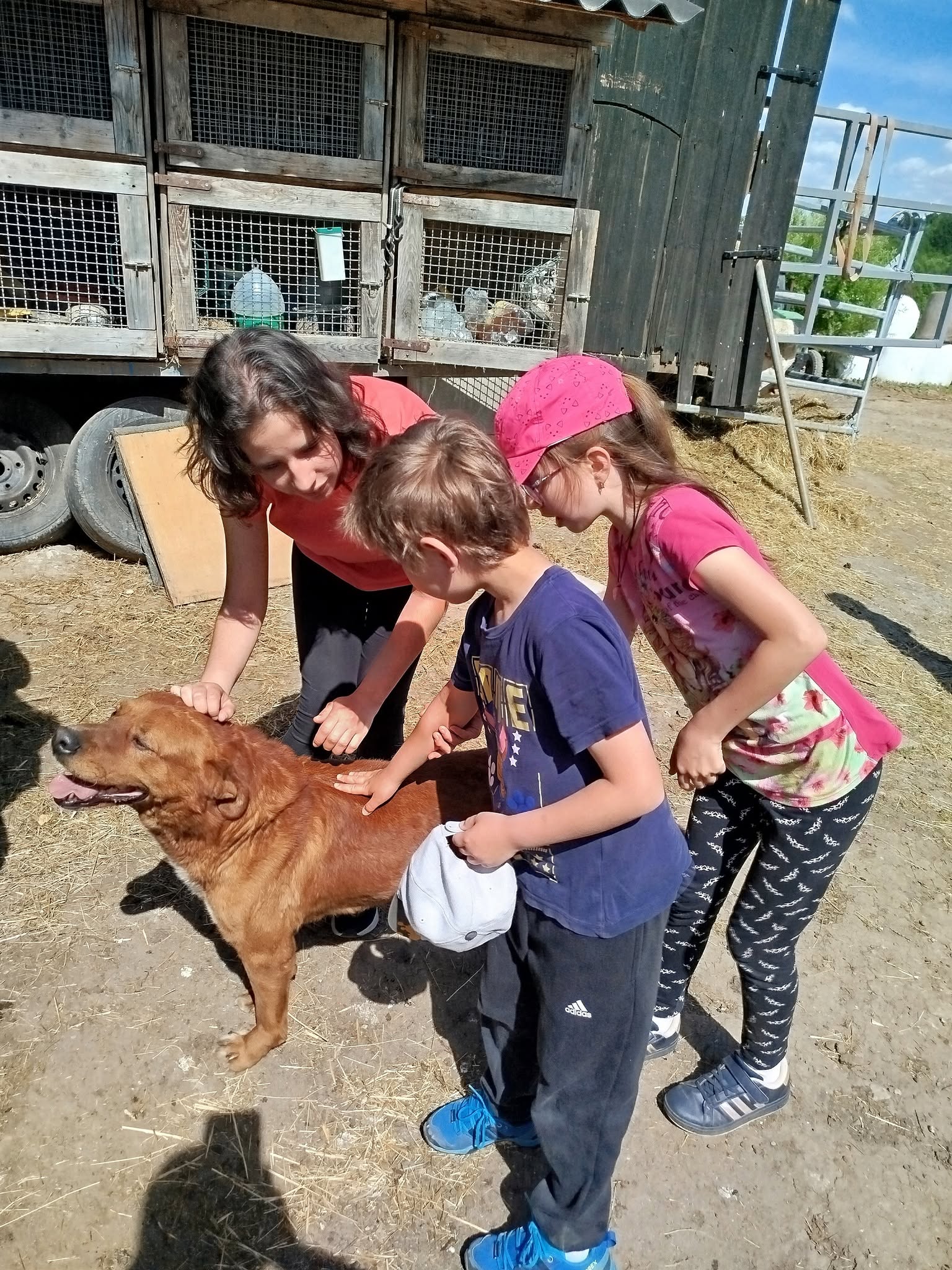 Odpoledne na farmě plné zážitků